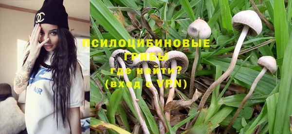 каннабис Алзамай