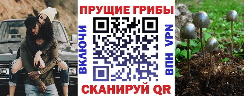 цена   Аша  Галлюциногенные грибы прущие грибы 